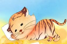 门槛石用黑色旺财吗 门槛石要怎么选