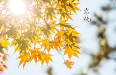 梦见博物馆怎么回事 梦见博物馆有什么预兆