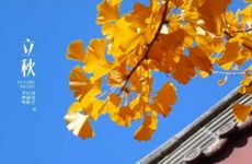 梦见太阳伞怎么回事 梦见太阳伞有什么预兆