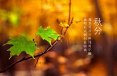 孕妇梦见蚯蚓是什么意思呢