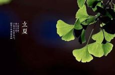 2024年立夏可以同房吗 关于同房的时间要清楚