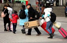 广东阳西春节习俗