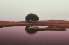 2024年农历九月廿五上梁顺利吗