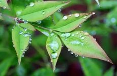 梦见一头乌黑头发被自己剪