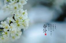 凭本事赚大钱的三个星座，不放过一切赚钱机会，吸金有道，很旺财