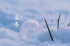 龙血树能否放在财位 发财树和龙血树能摆在一起吗