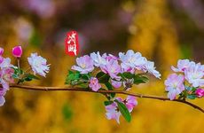 梦见自己逃跑的相关梦境解析