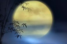 塔罗牌测试2024年你得到真爱的几率有多少