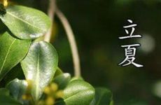 梦到蟑螂卵是凶兆还是吉兆