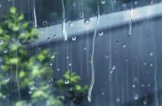 梦见水池周公解梦，梦见水池是什么意思？