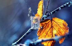 2022年霜降是什么季节几月份？霜降这天可以做什么？