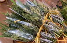 端午节第二天是几月几日 端午能不能不吃粽子