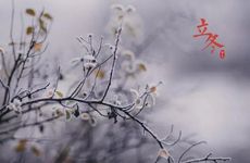 立冬吃饺子的由来是怎样的？立冬南方吃什么