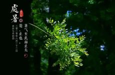 2022年十月初一寒衣节的喜神方位时辰查询