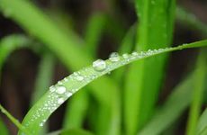 2022年农历八月十二白露节气可以结婚吗？是结婚吉日吗？