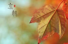 立秋吃什么传统食物节气不同节气的特色饮食文化