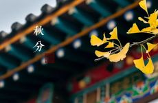 梦见庆典怎么回事 梦见庆典有什么预兆