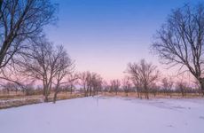 不轻易表露自己的星座