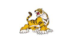 2022年七月十一日出生的属虎女孩好吗？命理如何？