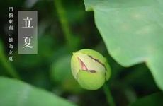 梦见假面舞会周公解梦，梦见假面舞会是什么意思？