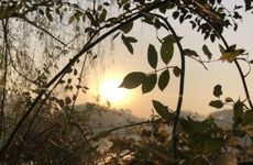 重阳节是什么样的节日？九九重阳节有什么风俗传统