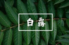 贴福字的寓意 迎祥纳福有好福运
