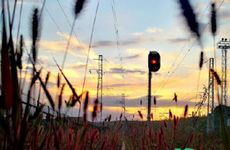 白露节气的习俗 白露有哪些风俗活动