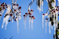 2023年小寒可以立碑吗？立碑有什么讲究？