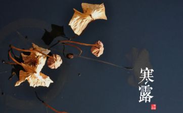 二十四节气寒露的寓意和象征是什么