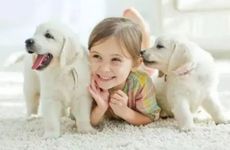 生肖狗的本命佛是什么佛? 属狗的本命佛是什么佛