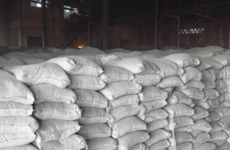 疑心病，会拿小号去测试男朋友的生肖女