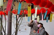 内蒙古正月十五怎么过元宵