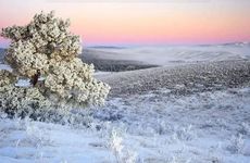 貔貅有什么说法和讲究？6种人千万不能带个貔貅