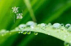 寒露到了代表什么含义 寒露是秋季节气吗