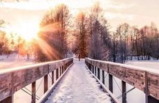 梦见买地瓜有什么预兆