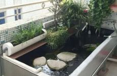 家里摆南瓜摆件好不好