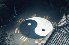 院内种什么树好风水?