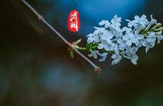 清明节是阳历还是阴历？清明节吃什么有什么传统美食？