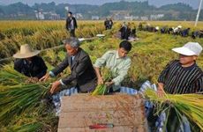 梦见乡间小路　周公解梦之梦到乡间小路