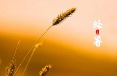 第六感超强的3大星座！他们慧眼识人 不会上当