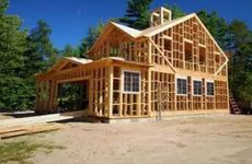 门前种松树好不好？门前种松树的禁忌