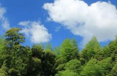 2022年秋老虎是什么时候 八月十四日左右秋老虎到来