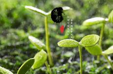 注定是穷命的日柱 日柱干支彼此之间相克