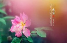 梦见电影 看电影周公解梦，梦见电影 看电影是什么意思？