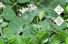 三种人不适合拜关公 关公像最忌面向厕所摆放