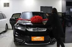 这些生肖三十而立之年才会成熟