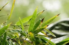 醒醒吧！这几个星座容易错把感动当真爱