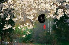 2022年八白佐辅星正财位在哪个方向 2022年如何旺财运、置业