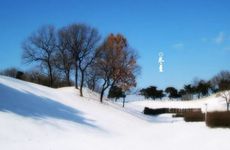 戊土生冬月命理中的喜忌要点