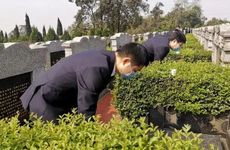 进门看见沙发好还是电视墙好 有什么说法